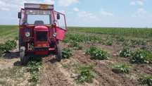 Vând tractor Renault 45 cp.