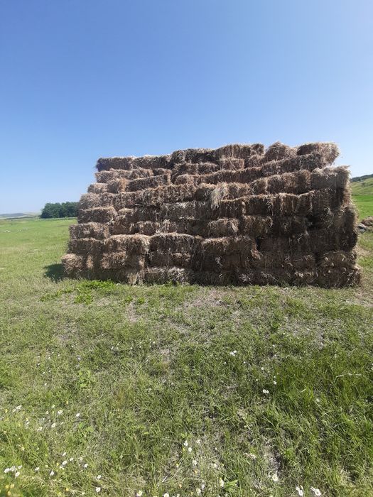 baloti de lucerna amestecat cu fin