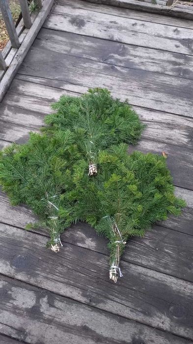 Веники для бани из берёзы, липы и пихты