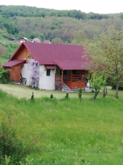 teren 11000 mp la padure in Budeasa Mica