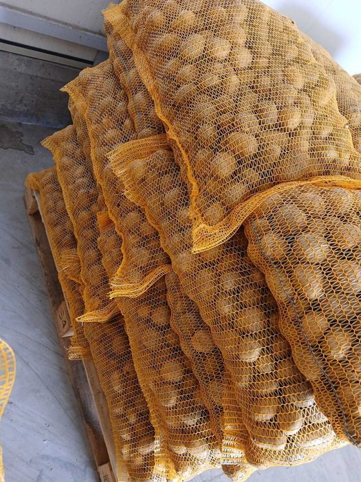 Cartofi de samanta Riviera+Carera