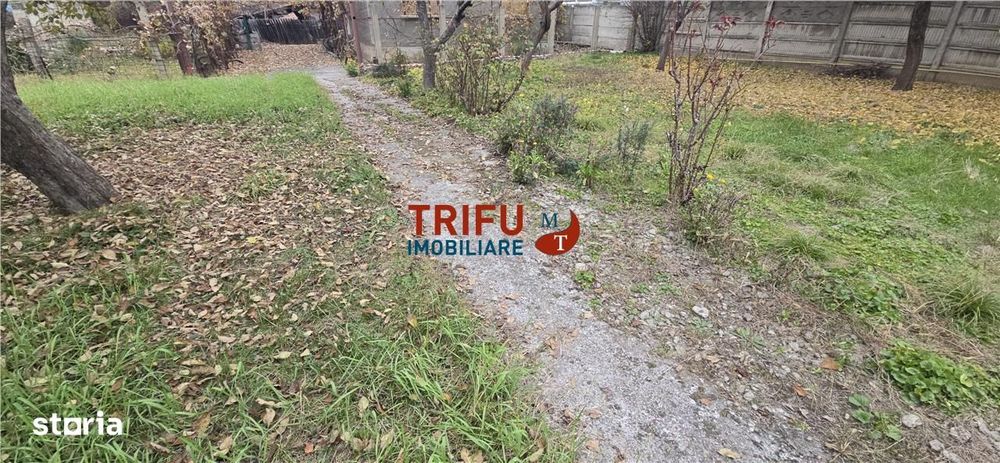 Teren Ideal pentru Locuinte in Cetate - Oportunitate Unica!