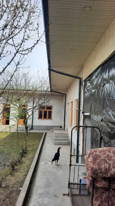 Ховли сотилади 4 сотох