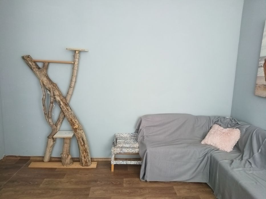 Хотел за котки в Пловдив