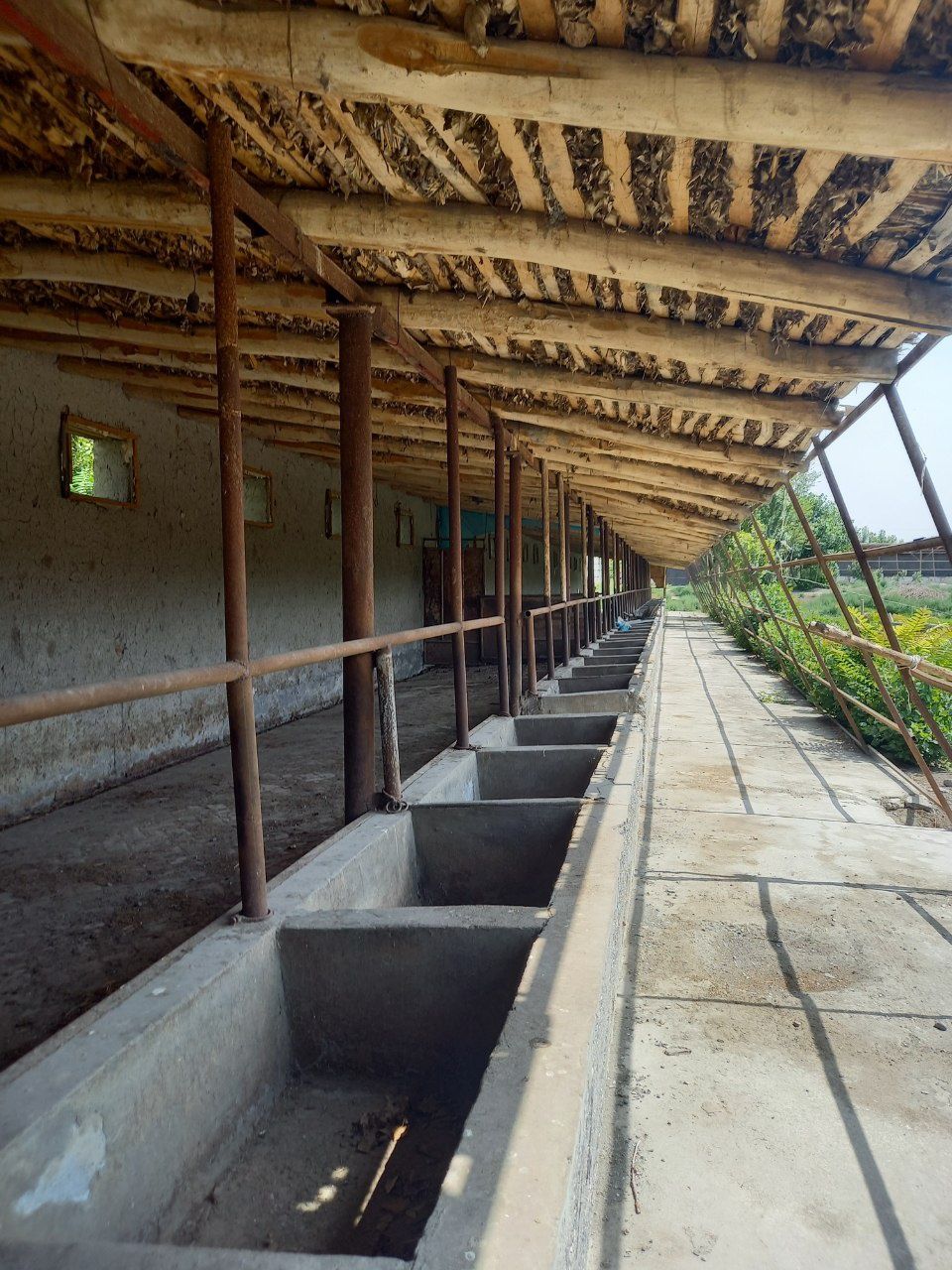 Tayyor molhona sotiladi