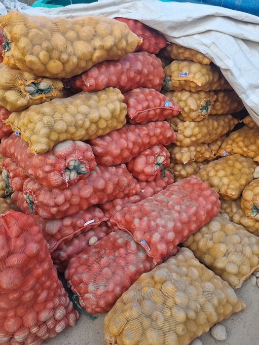 Картошка синиглазка