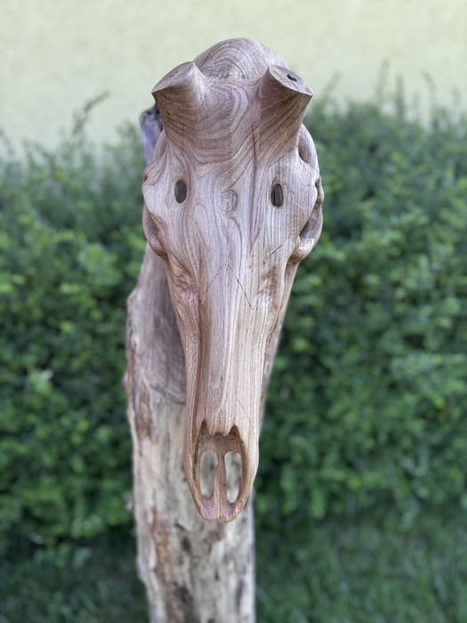 Дървен череп на благороден елен,дърворезба,трофей,лов,Blaser,Chevalier