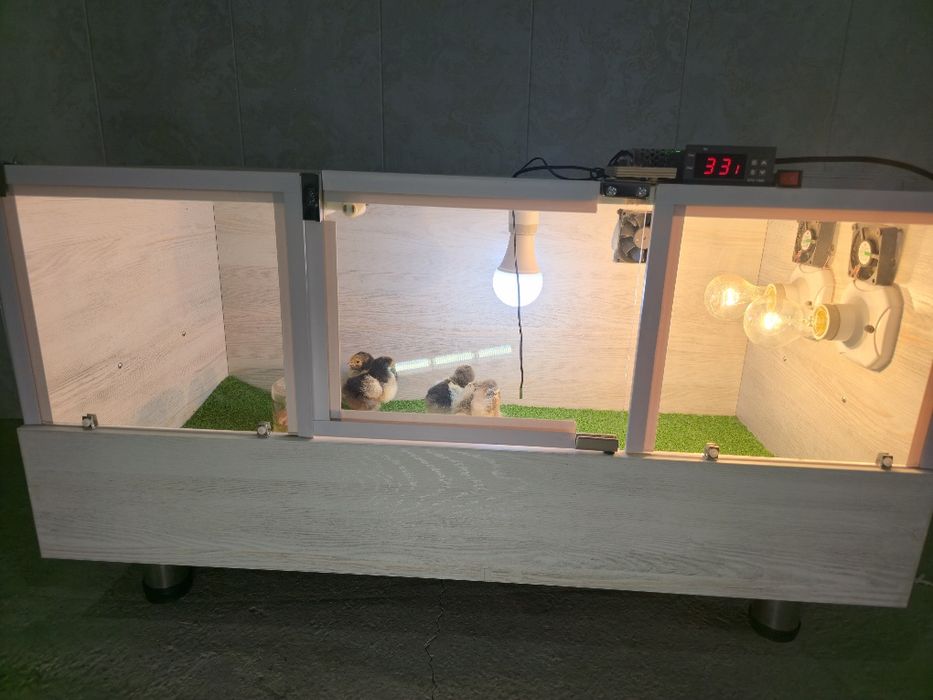 Bruder  Брудер zamonaviy