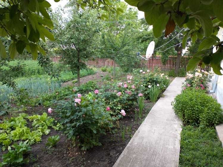 Casa cu teren, comuna Dragos Voda, judetul Calarasi.