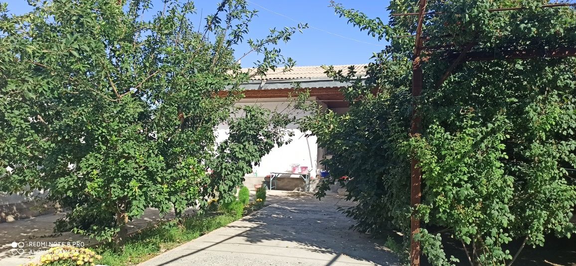 Jizzax viloyati Sh.Rashidov tuman Uchtepa kotej sotiladi Uy narxini ke