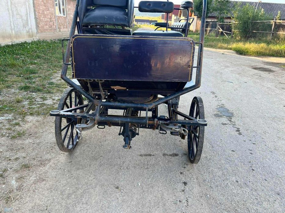 Trăsură adusă din Germania