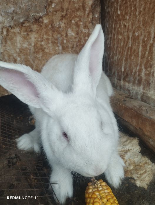 1 dekabr 12 oy 2025 yil