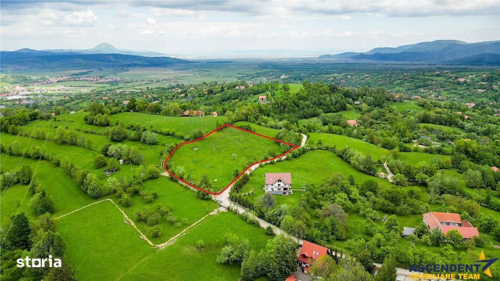 Film! Domeniu pe 11.000mp intravilan, panorama montana,Bran,Sohodol
