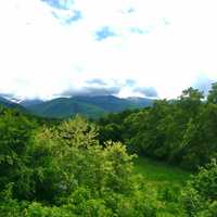 Parcele teren Valea Avrigului