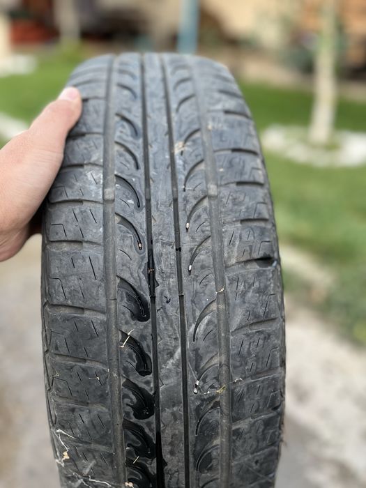 Пкорышка летняя 1 шт