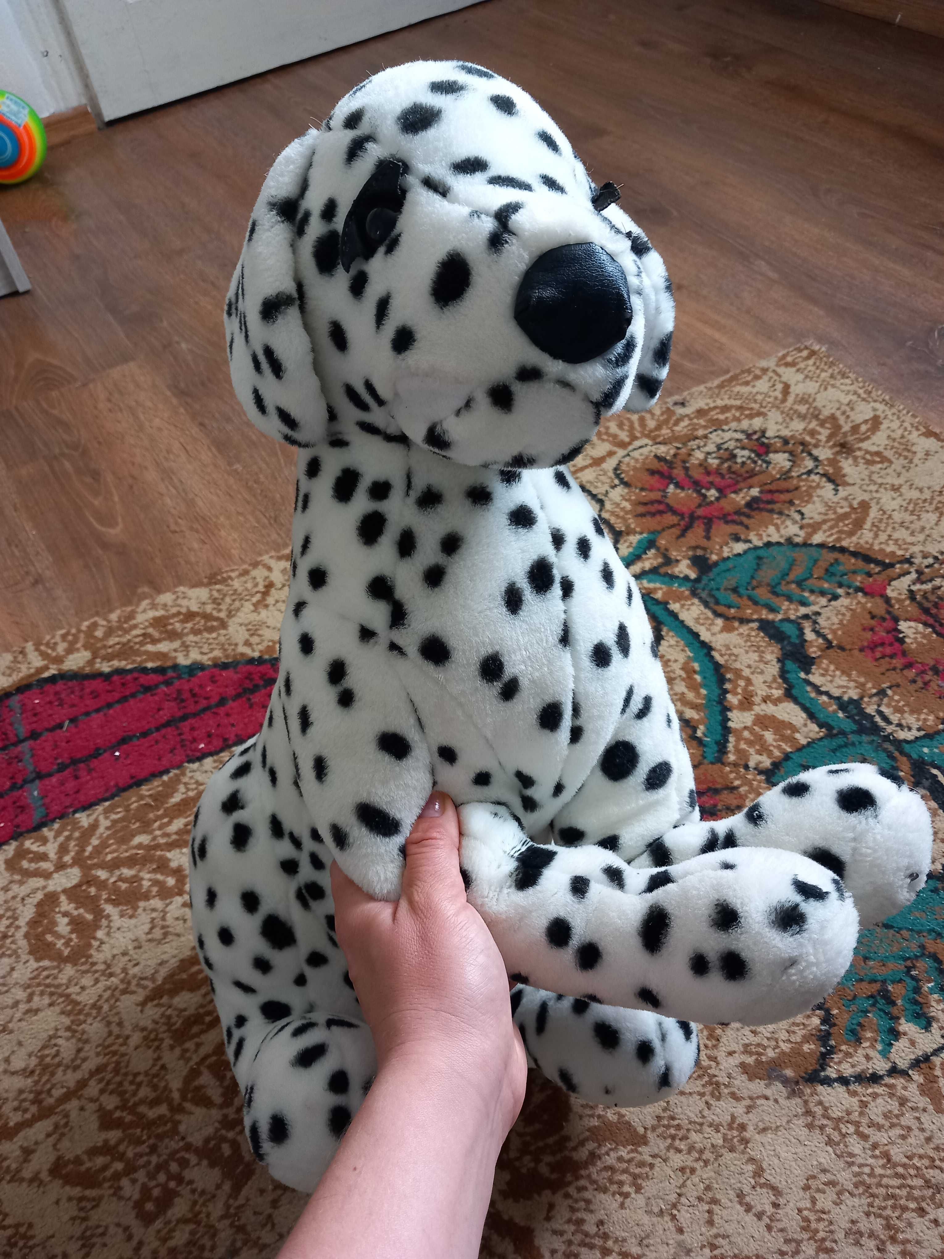 Vand catel plus dalmatian