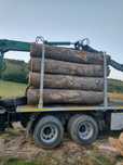 Lemn foc fag 440 mc