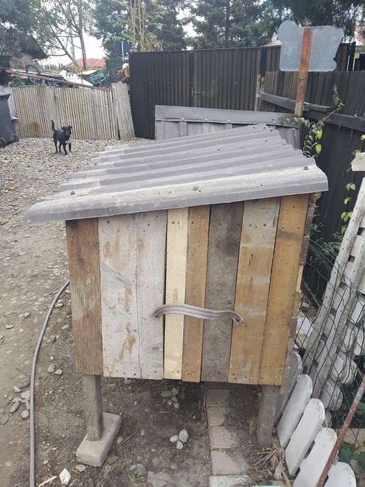 Cușcă iepuri,cușcă de caini