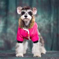 Кучешка дреха зимно ватирано палто яке худи с пухена качулка розов