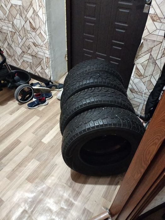 Зимние шины шипованы