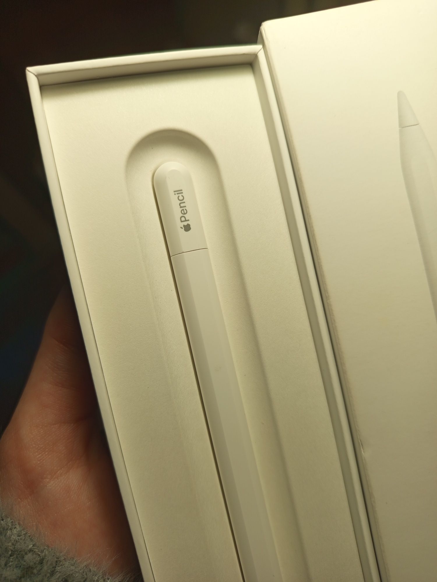 Apple pencil USB-C