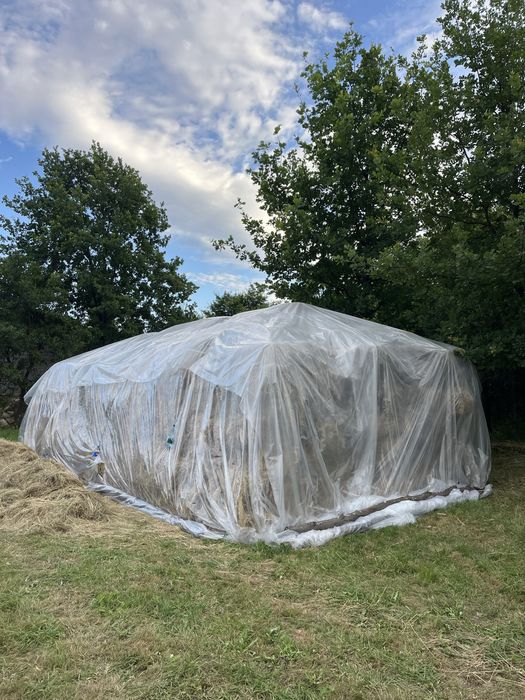 Vând boloți de fân 1000 de bucați