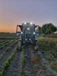 Traktor mtz 80.1