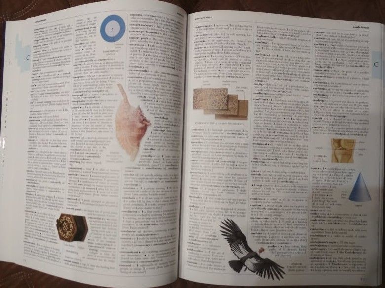 Илюстрован Оксфордски Речник, чисто нов
