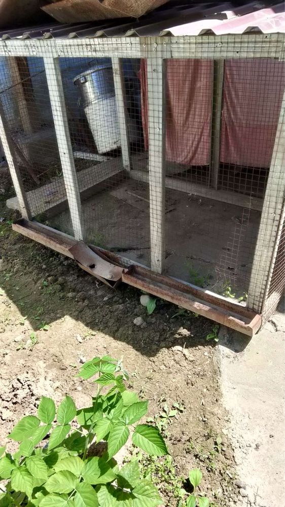Товук катак сотилади арзонгина берип юбораман