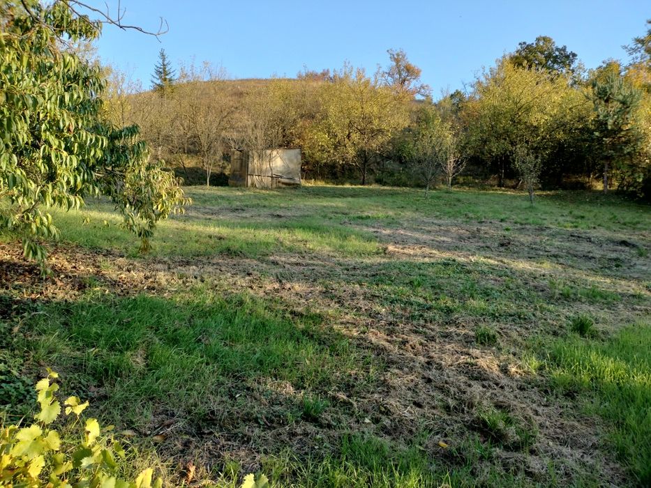 Casa de vacanta sau de locuit!