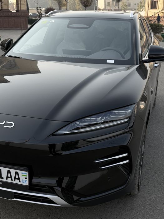 BYD champion 2025 Smart