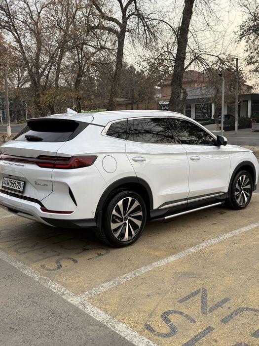 Byd Champion 605 HONOR FULL