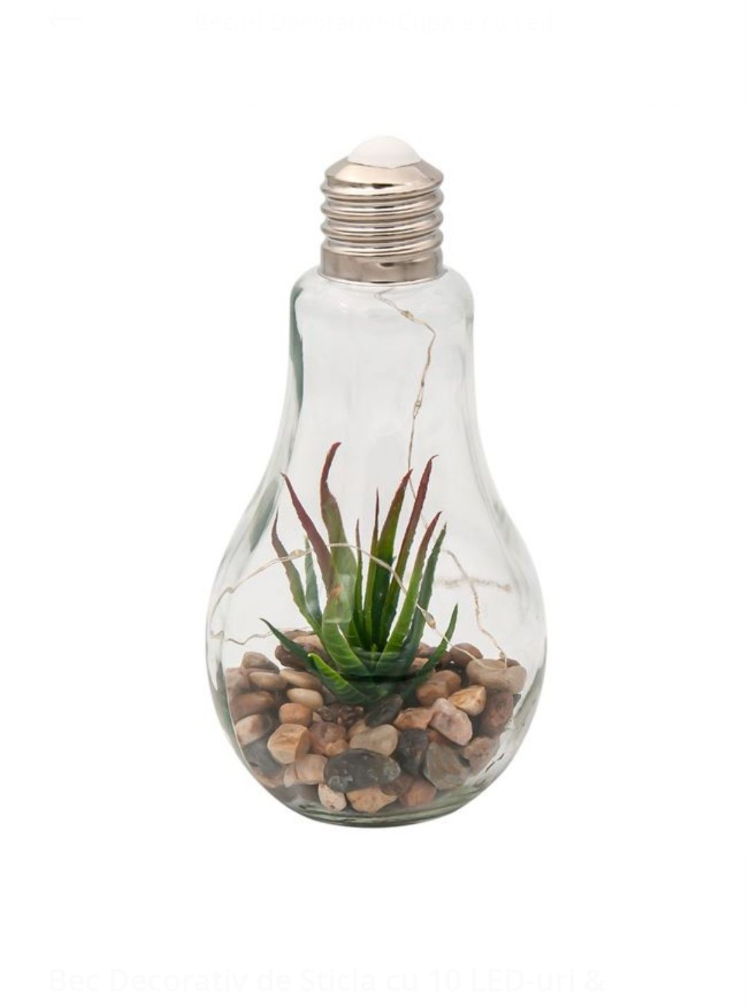 Bec Decorativ de Sticla cu 10 LED-uri & Plante