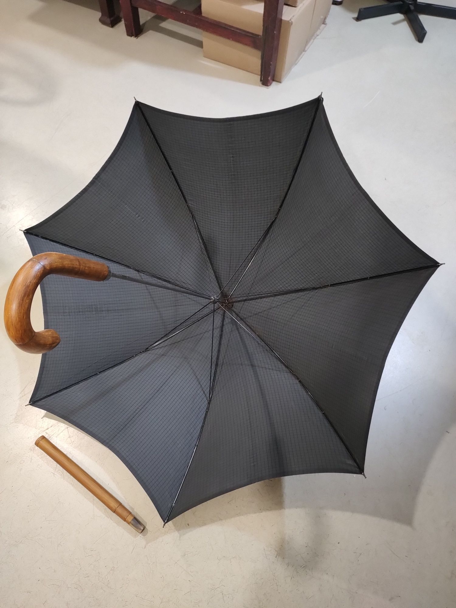 Vand umbrela baston