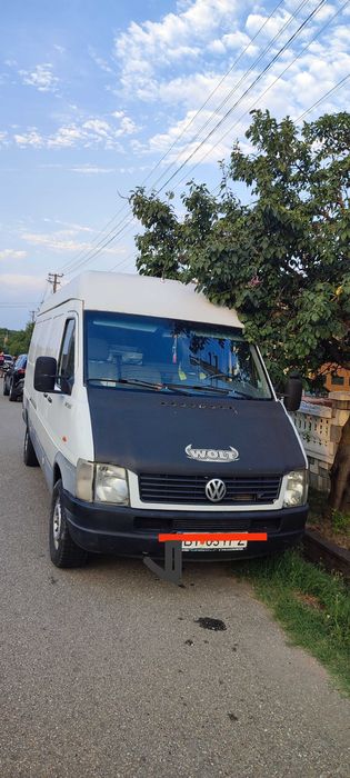 DavIre2429odorasiimei