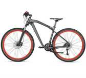 Bicicleta Oe Bmw Ruise M-Bike III Marimea L Negru / Rosu 80912412313