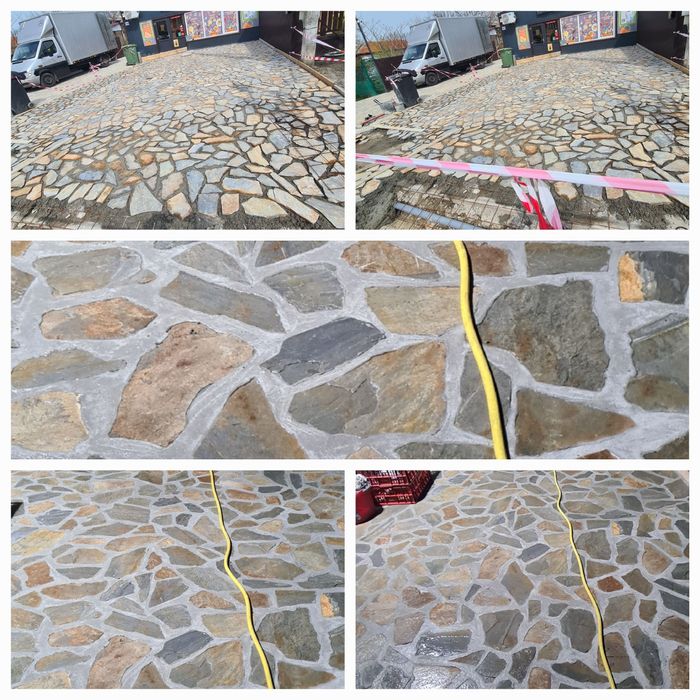 Piatră naturală de munte și plante ornamentale