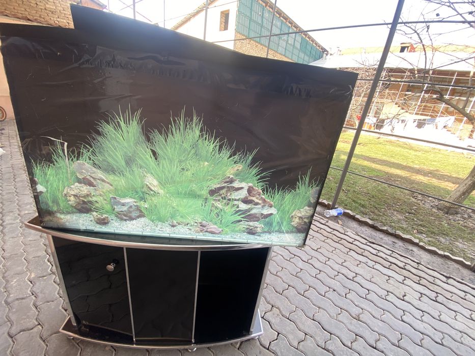 Akvarium 250 litr Аквариум 250 литр