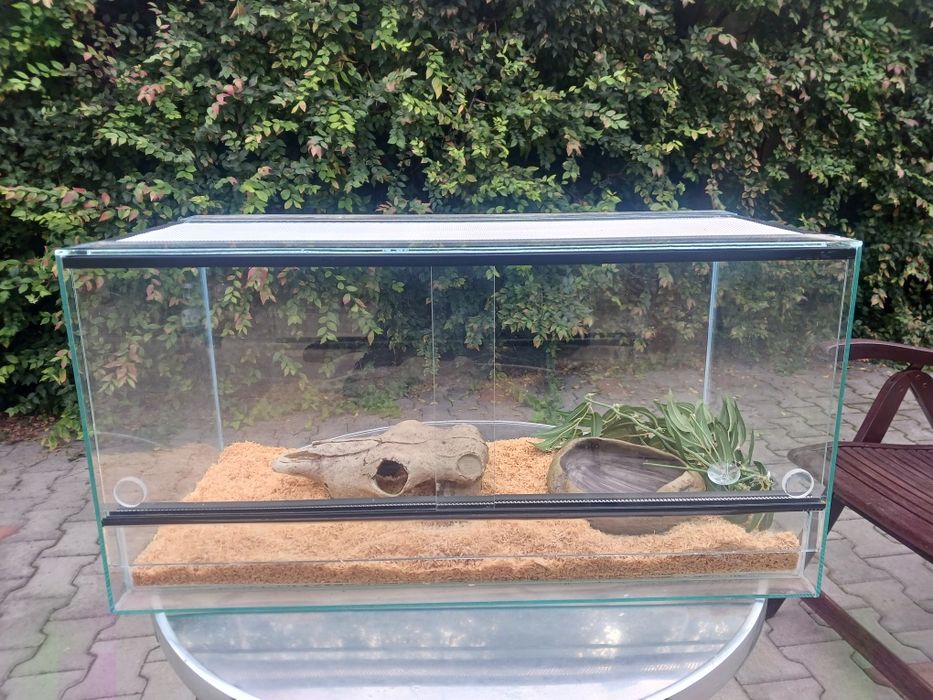 Terrariu pentru reptile