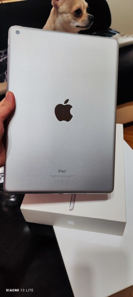 iPad (9th Generation) Wi-FI