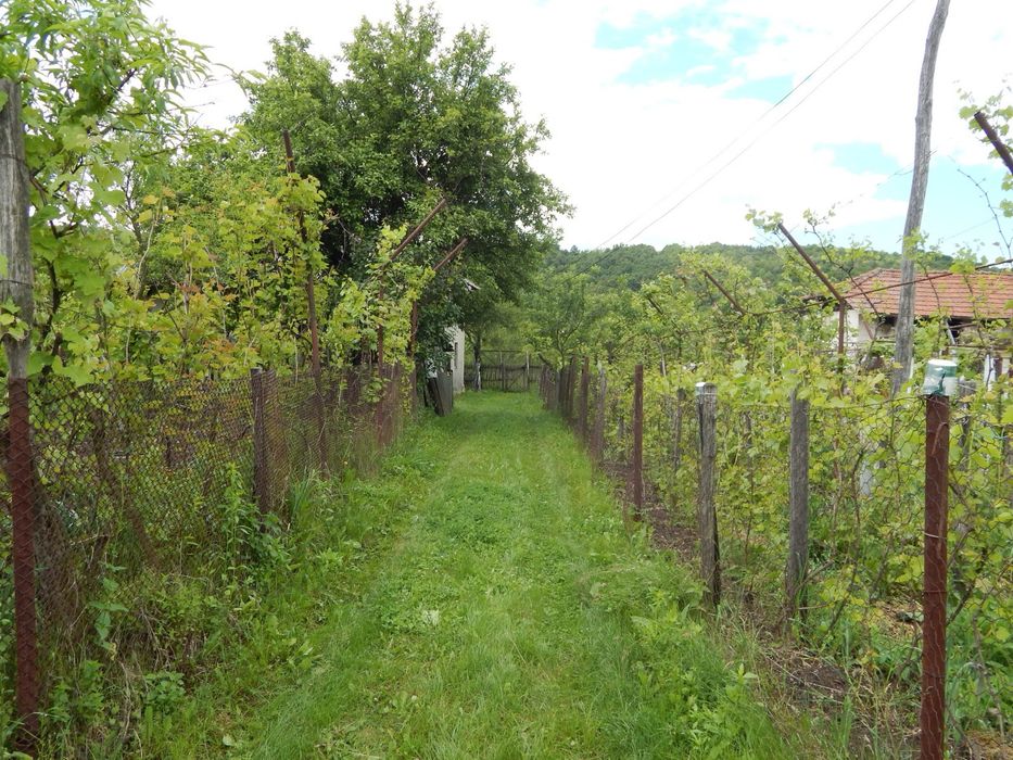 Casa bunicilor la tara