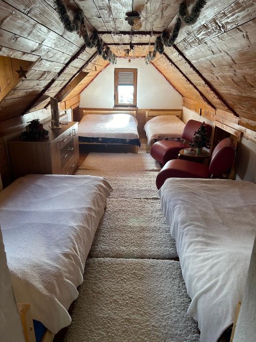 Cabana in statiunea parang