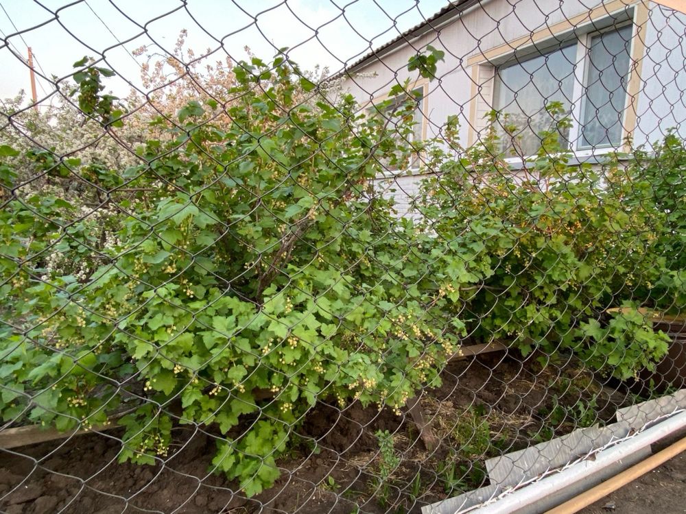 Благоустроенный дом 4-х комнатный