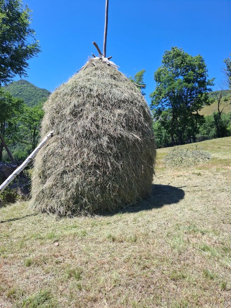 Vand doua clăi de fan