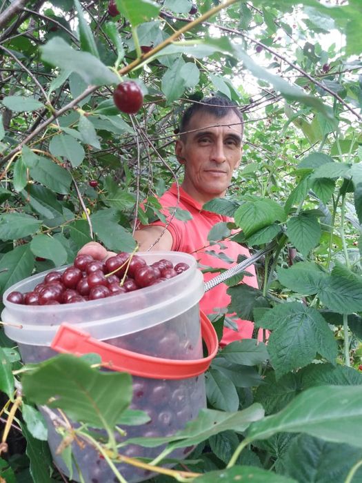 Дача земельный участок
