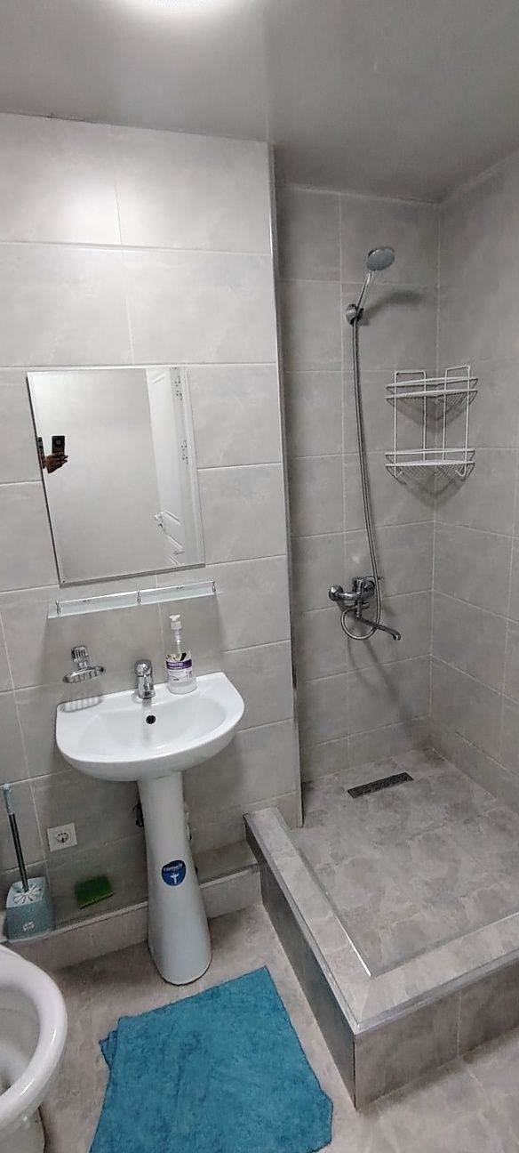 Arenda SAMPI korzinkani ropparasida 1/2/8