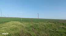 Teren 500 mp in Costinesti pentru investitie