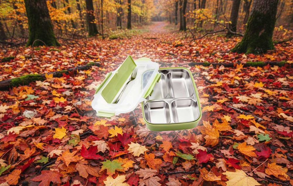 Кутия за храна с 4 отделения + Готварска книга - ЛИКВИДАЦИЯ