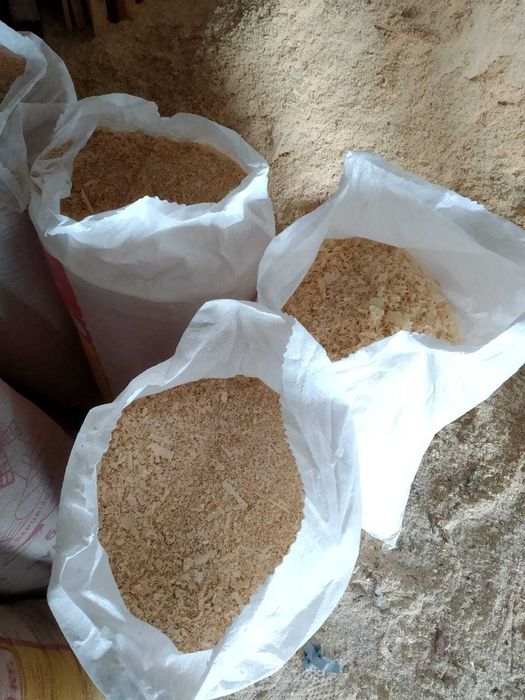 Сухие опилки. Сосна