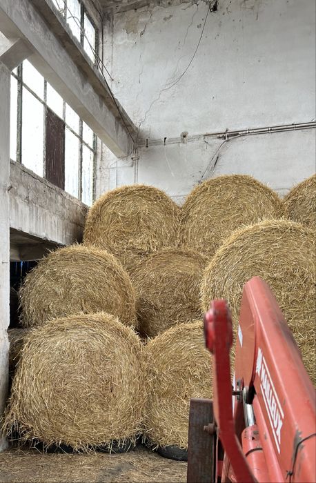Baloti de paie 120x120